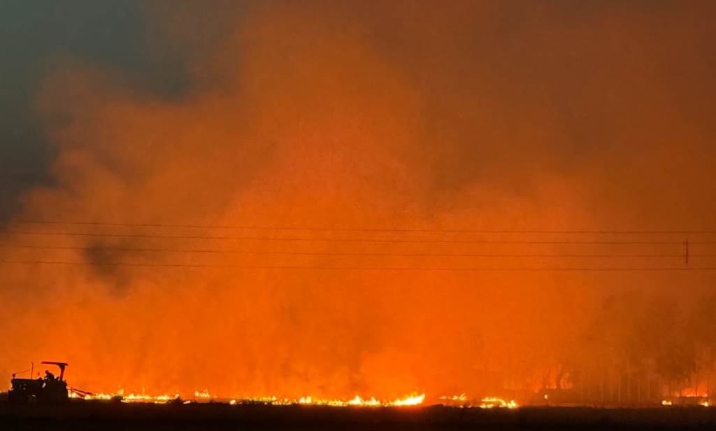 Is the Environment Facing Ruin The practice of burning wheat stubble and agricultural waste in fields has resulted globally this constitutes a gross violation of the Paris Agreement